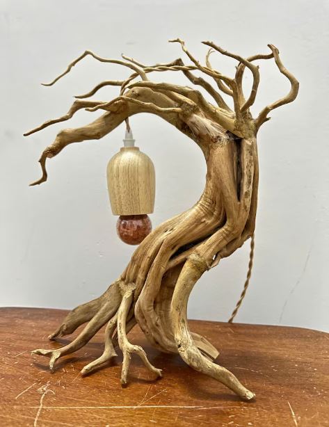 Driftwood và gỗ lũa khác nhau như thế nào? So sánh chi tiết cho người mới bắt đầu