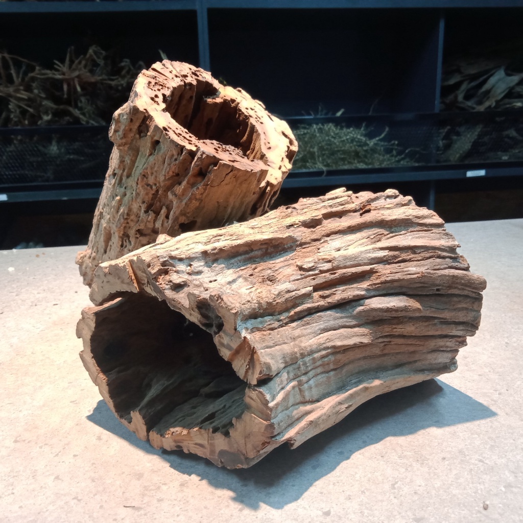 Driftwood và gỗ lũa khác nhau như thế nào? So sánh chi tiết cho người mới bắt đầu