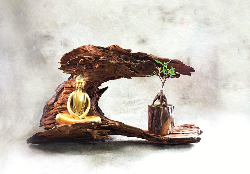 thoi-sinh-khi-vao-lua-(e-magazine) Home